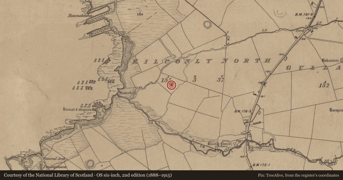 Ordnance Survey six-inch map, 2nd edition (1888–1915) covering the location of House - indeterminate date, Kilconly North, County Kerry, with a pin at the register's coordinates