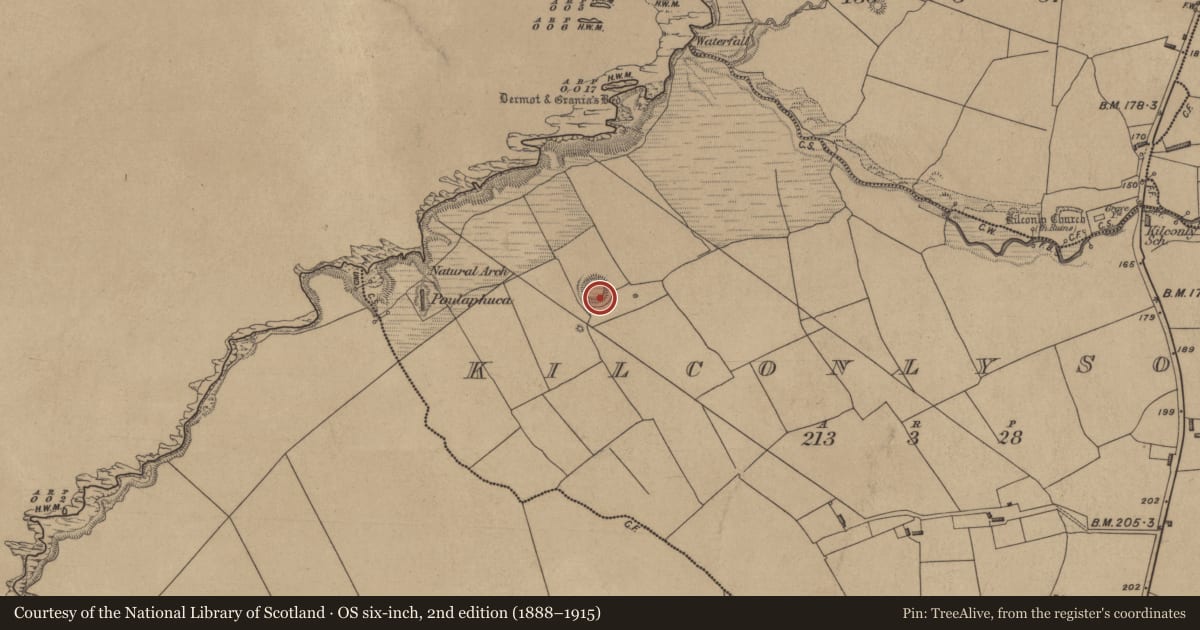 Ordnance Survey six-inch map, 2nd edition (1888–1915) covering the location of Ringfort - rath, Kilconly South, County Kerry, with a pin at the register's coordinates