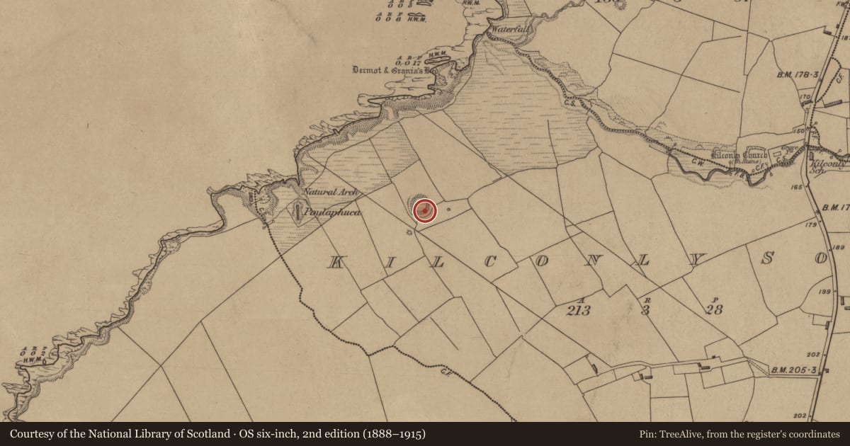 Ordnance Survey six-inch map, 2nd edition (1888–1915) covering the location of House - indeterminate date, Kilconly South, County Kerry, with a pin at the register's coordinates