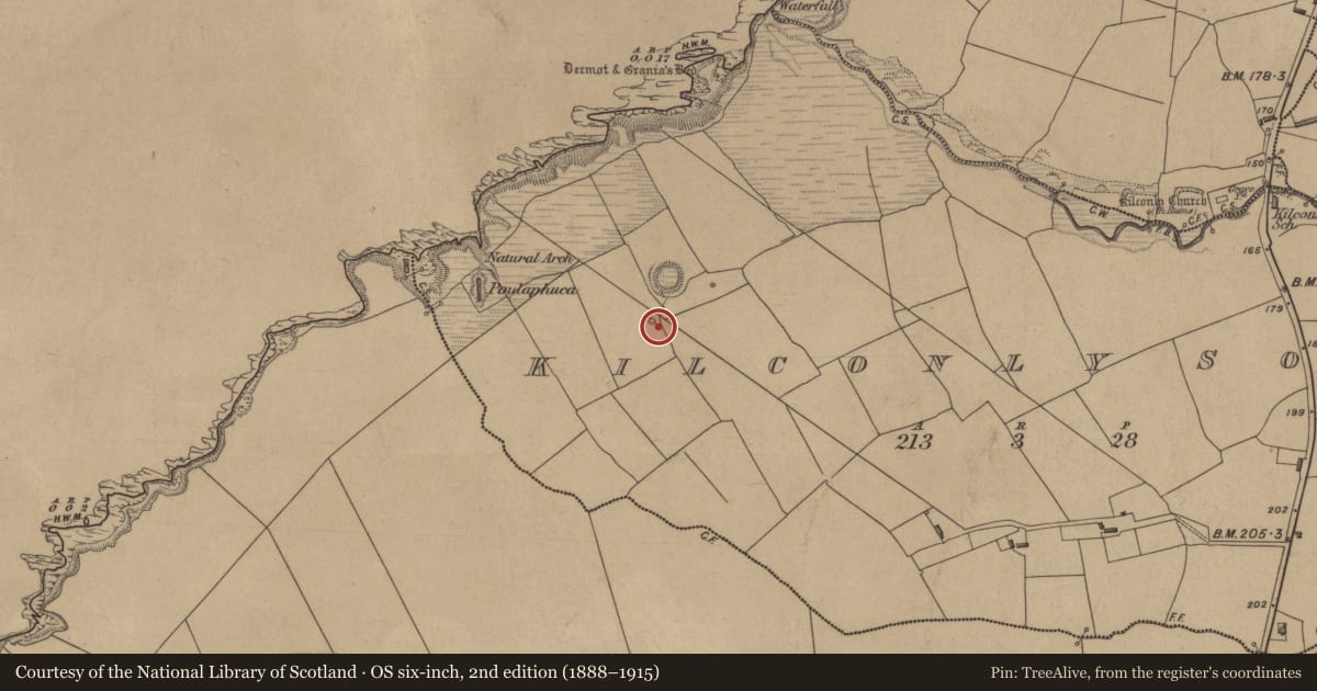 Ordnance Survey six-inch map, 2nd edition (1888–1915) covering the location of Barrow - unclassified, Kilconly South, County Kerry, with a pin at the register's coordinates