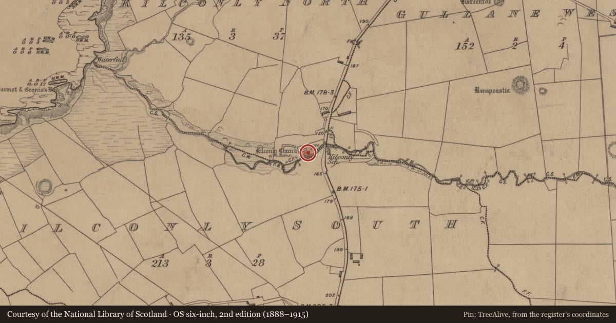 Ordnance Survey six-inch map, 2nd edition (1888–1915) covering the location of Bullaun stone, Kilconly North, County Kerry, with a pin at the register's coordinates