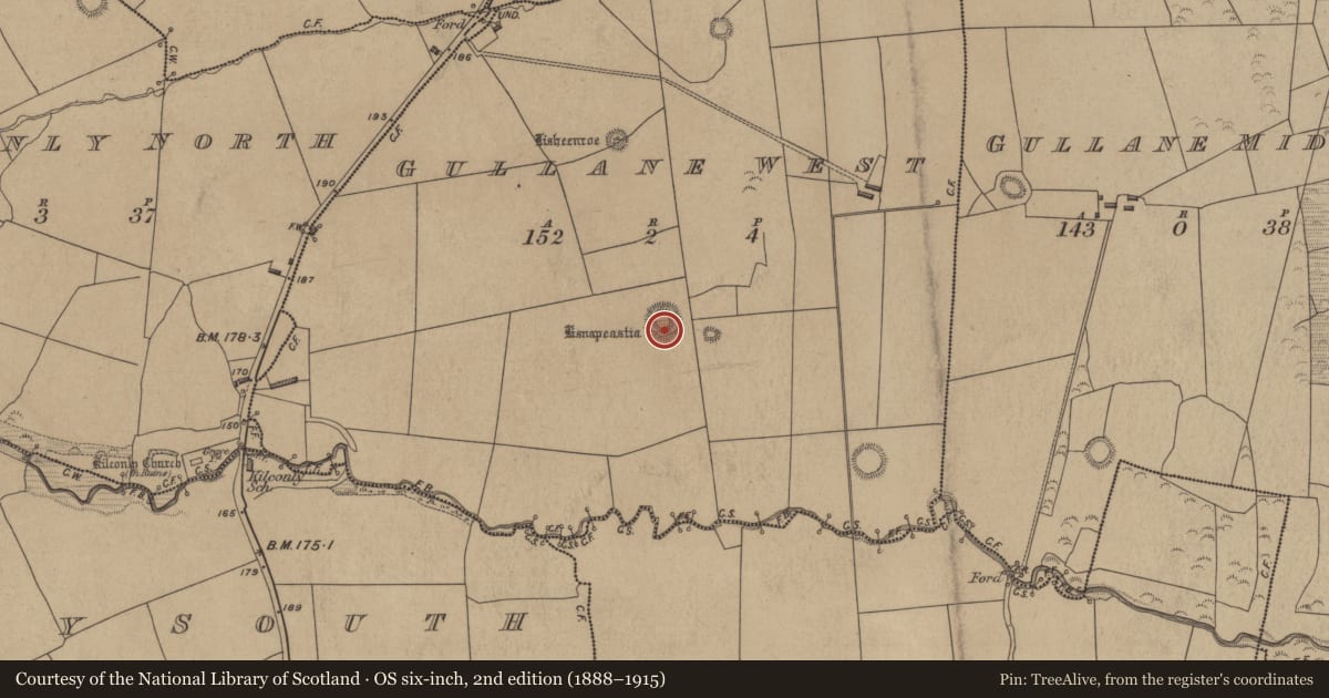 Ordnance Survey six-inch map, 2nd edition (1888–1915) covering the location of Enclosure, Gullane West, County Kerry, with a pin at the register's coordinates