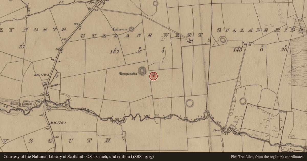 Ordnance Survey six-inch map, 2nd edition (1888–1915) covering the location of Ringfort - rath, Gullane West, County Kerry, with a pin at the register's coordinates