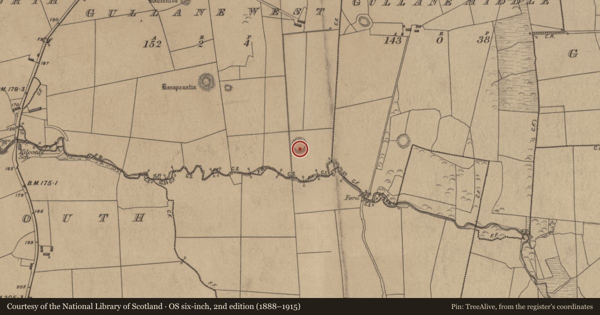 Ordnance Survey six-inch map, 2nd edition (1888–1915) covering the location of Enclosure, Gullane West, County Kerry, with a pin at the register's coordinates