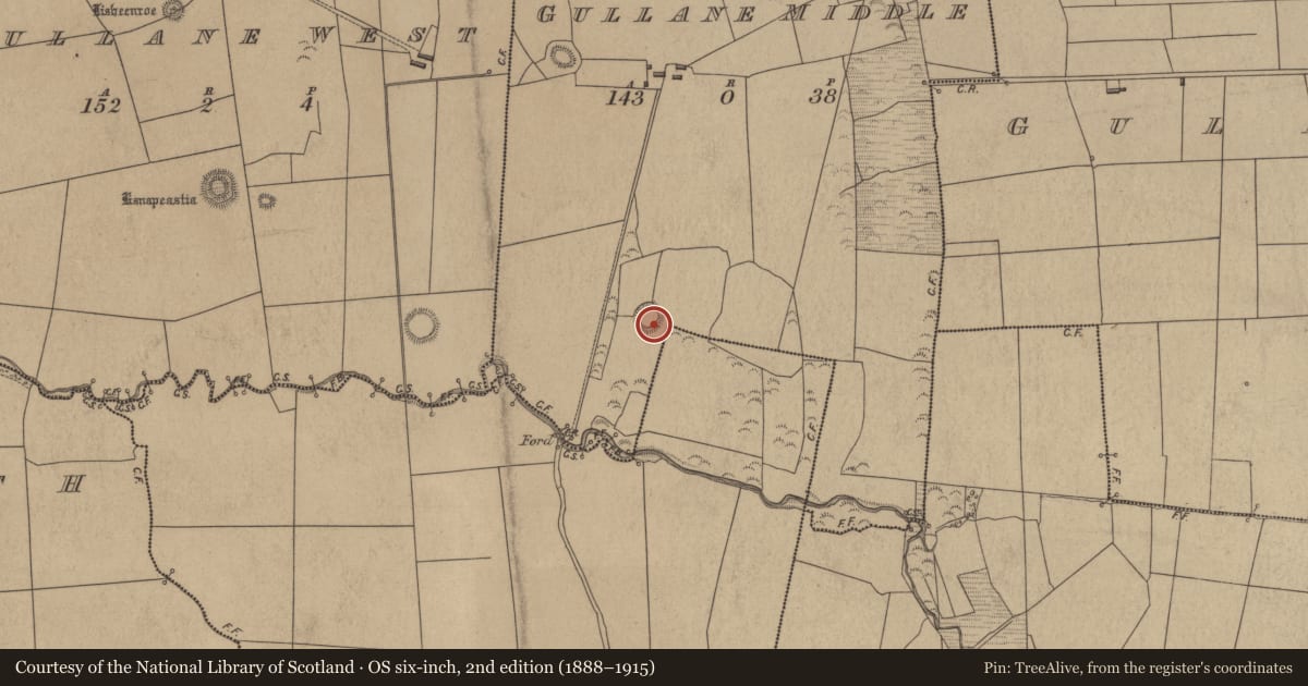 Ordnance Survey six-inch map, 2nd edition (1888–1915) covering the location of Ringfort - rath, Gullane Middle, County Kerry, with a pin at the register's coordinates