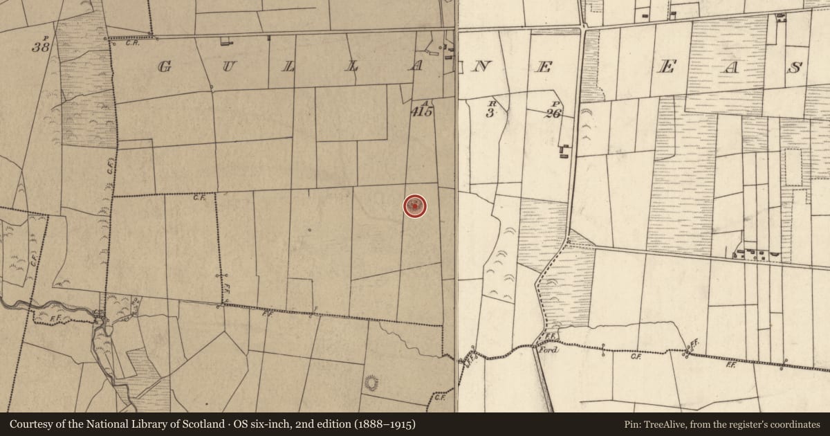 Ordnance Survey six-inch map, 2nd edition (1888–1915) covering the location of Ringfort - rath, Gullane East, County Kerry, with a pin at the register's coordinates