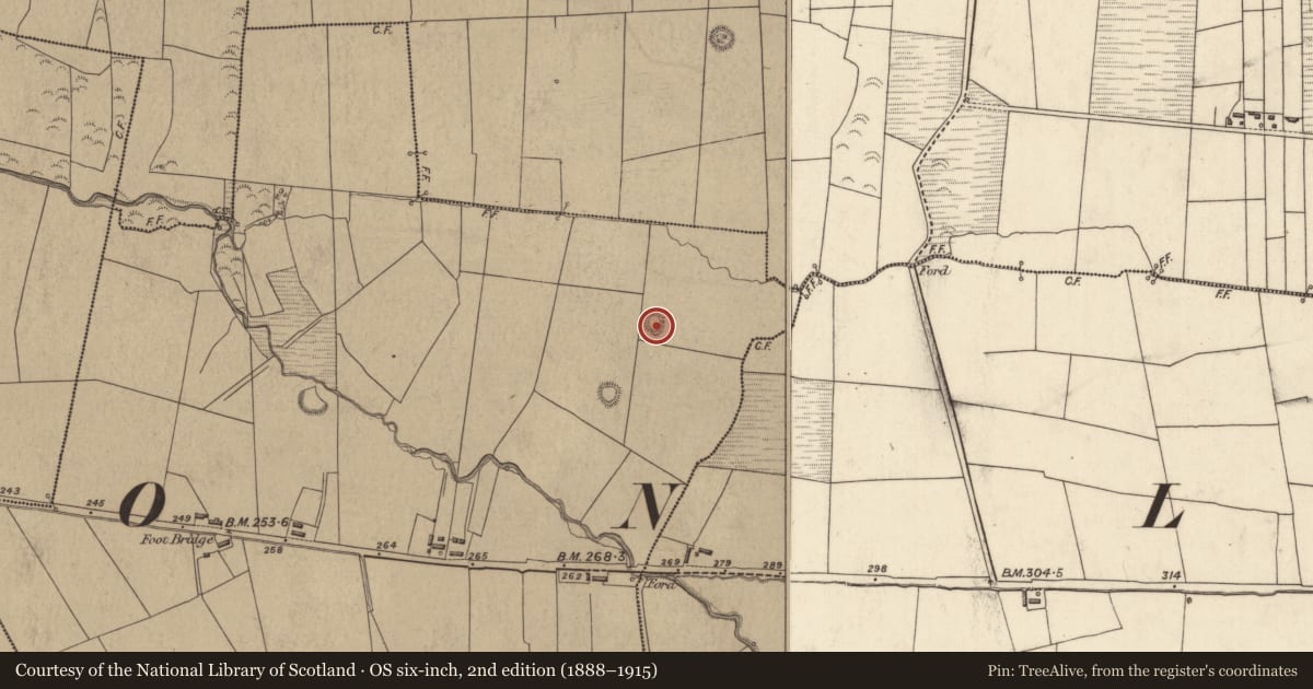 Ordnance Survey six-inch map, 2nd edition (1888–1915) covering the location of Hut site, Trippul East, County Kerry, with a pin at the register's coordinates