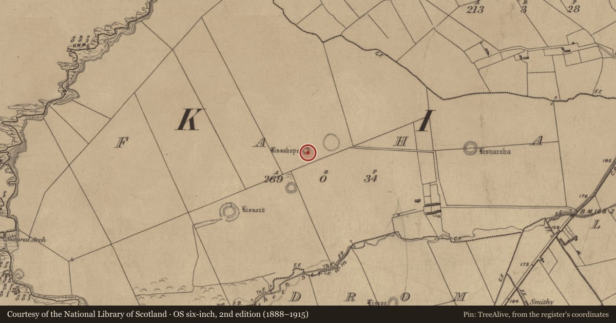 Ordnance Survey six-inch map, 2nd edition (1888–1915) covering the location of Ringfort - rath, Faha, County Kerry, with a pin at the register's coordinates