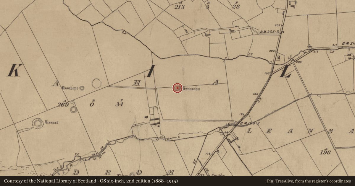 Ordnance Survey six-inch map, 2nd edition (1888–1915) covering the location of Ringfort - rath, Faha, County Kerry, with a pin at the register's coordinates