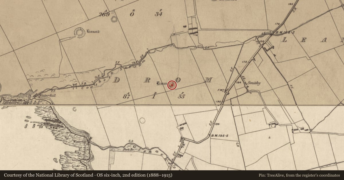 Ordnance Survey six-inch map, 2nd edition (1888–1915) covering the location of Ringfort - rath, Drom, County Kerry, with a pin at the register's coordinates