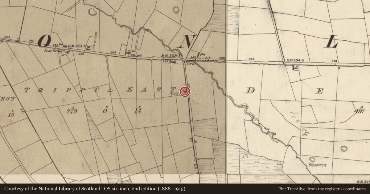 Ordnance Survey six-inch map, 2nd edition (1888–1915) covering the location of Ringfort - rath, Trippul East, County Kerry, with a pin at the register's coordinates