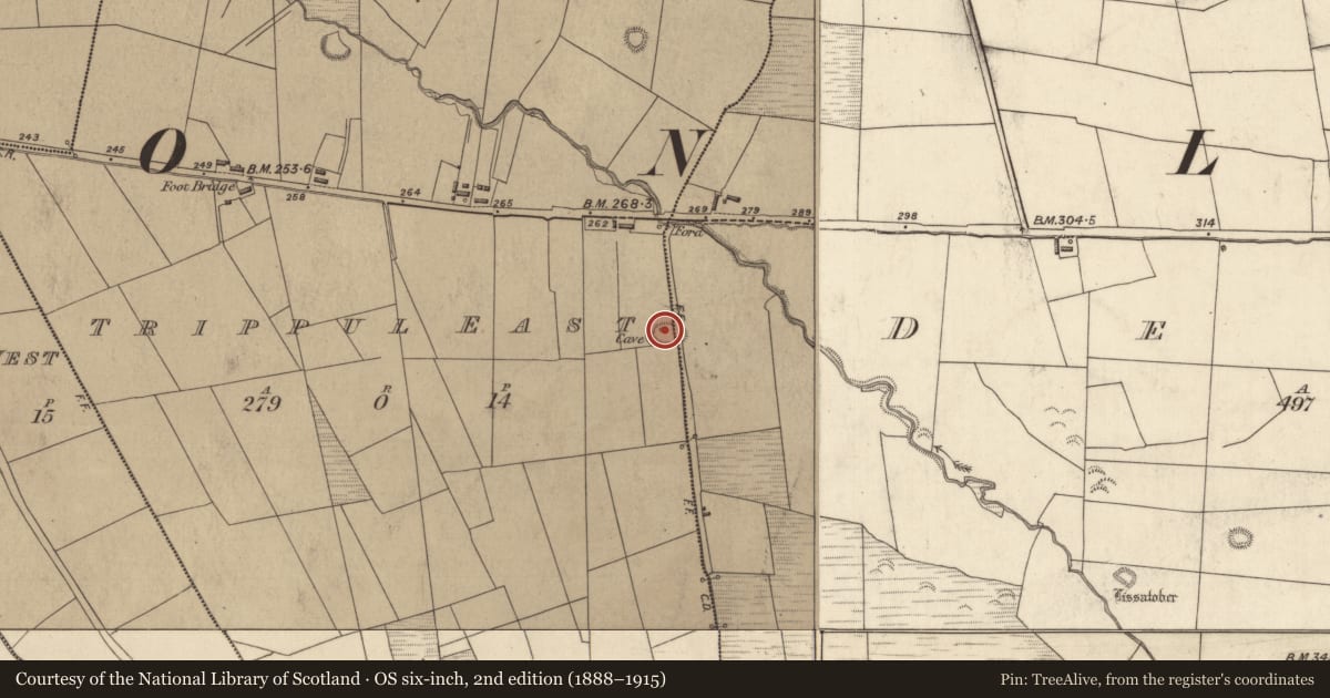 Ordnance Survey six-inch map, 2nd edition (1888–1915) covering the location of Souterrain, Trippul East, County Kerry, with a pin at the register's coordinates