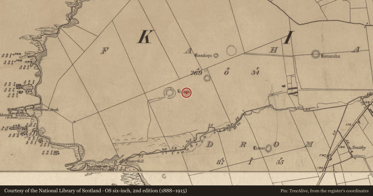 Ordnance Survey six-inch map, 2nd edition (1888–1915) covering the location of Hut site, Faha, County Kerry, with a pin at the register's coordinates