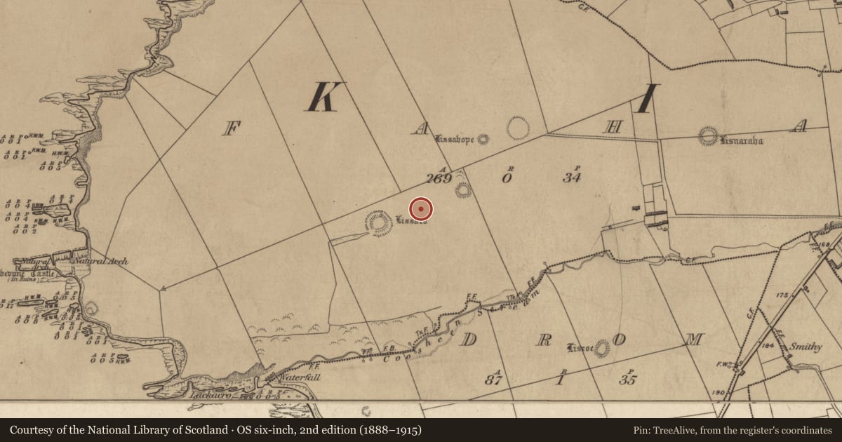 Ordnance Survey six-inch map, 2nd edition (1888–1915) covering the location of Hut site, Faha, County Kerry, with a pin at the register's coordinates