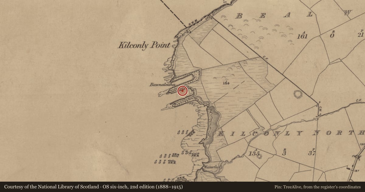 Ordnance Survey six-inch map, 2nd edition (1888–1915) covering the location of Promontory fort - coastal, Kilconly North, County Kerry, with a pin at the register's coordinates