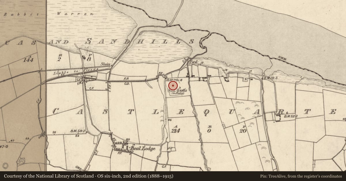Ordnance Survey six-inch map, 2nd edition (1888–1915) covering the location of Earthwork, Castlequarter, County Kerry, with a pin at the register's coordinates