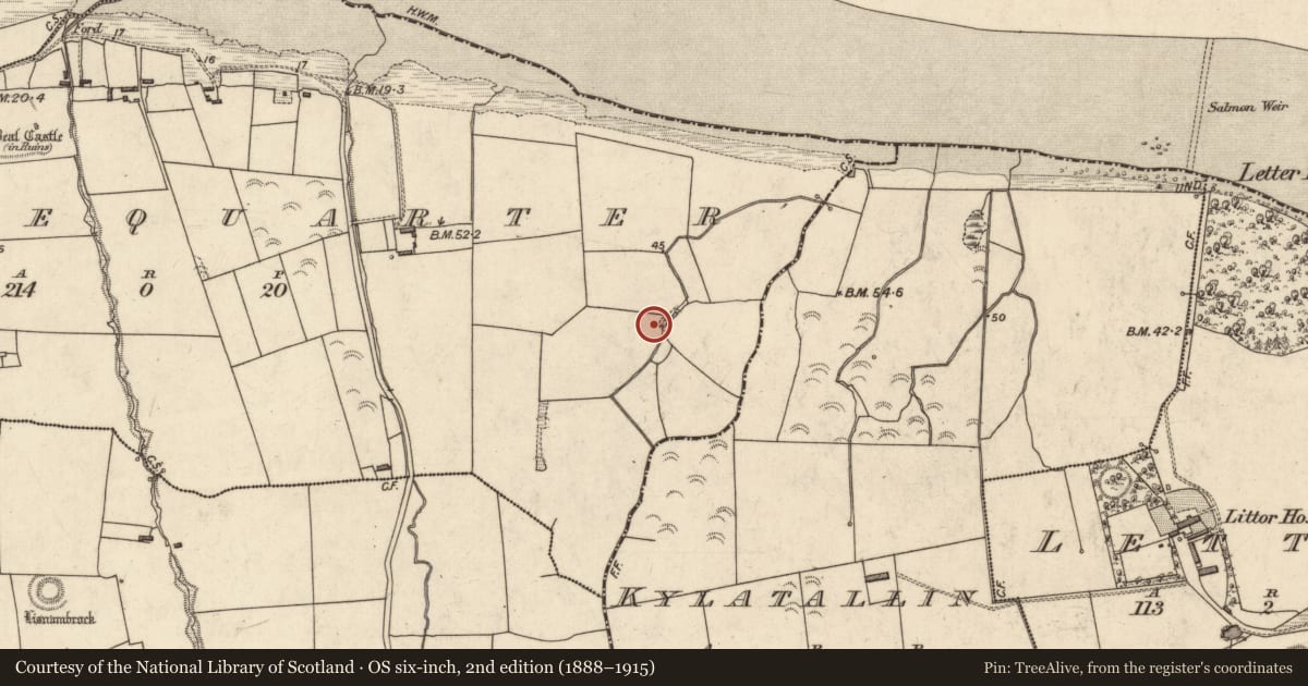 Ordnance Survey six-inch map, 2nd edition (1888–1915) covering the location of Children's burial ground, Castlequarter, County Kerry, with a pin at the register's coordinates