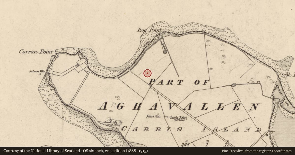 Ordnance Survey six-inch map, 2nd edition (1888–1915) covering the location of Fulacht fia, Carrig Island, County Kerry, with a pin at the register's coordinates