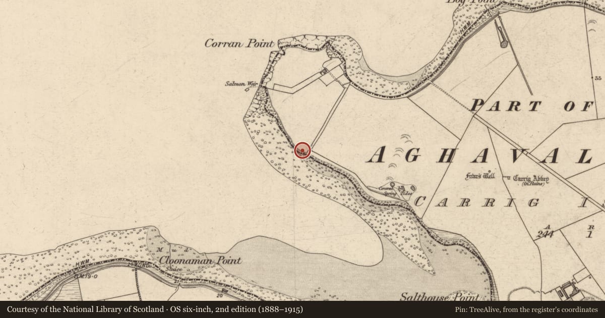 Ordnance Survey six-inch map, 2nd edition (1888–1915) covering the location of Fulacht fia, Carrig Island, County Kerry, with a pin at the register's coordinates
