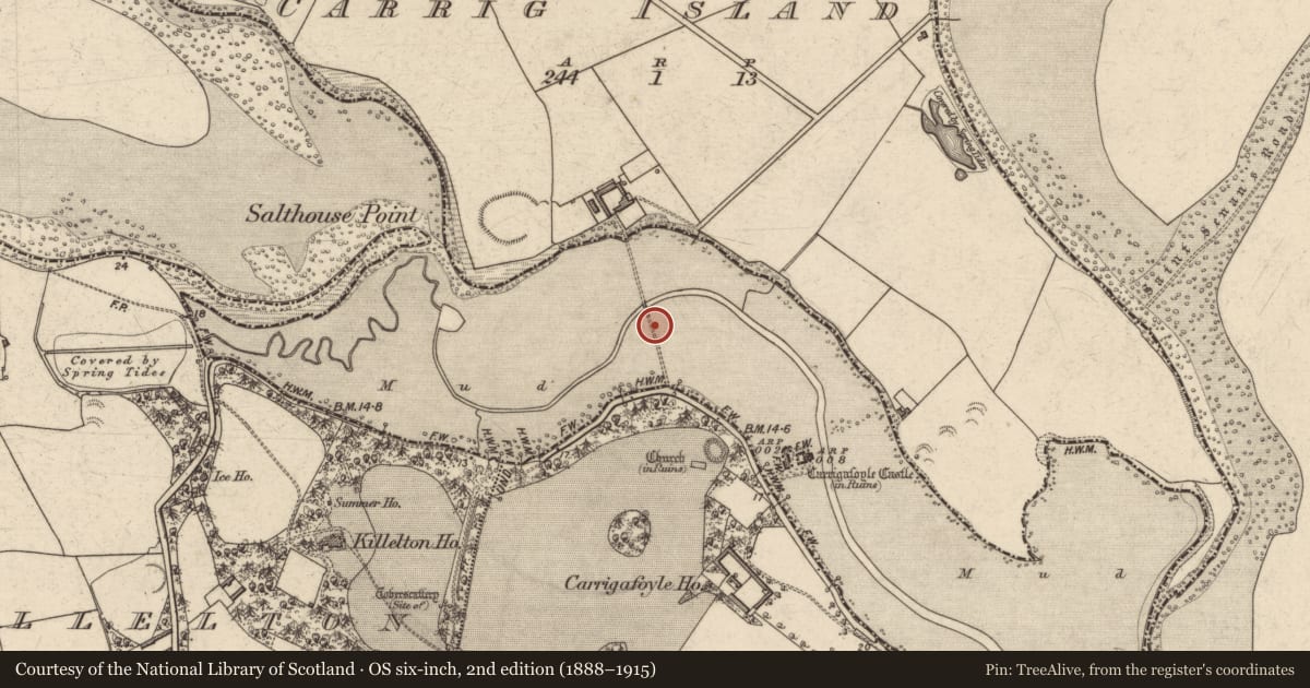 Ordnance Survey six-inch map, 2nd edition (1888–1915) covering the location of Causeway, Carrig Island, County Kerry, with a pin at the register's coordinates