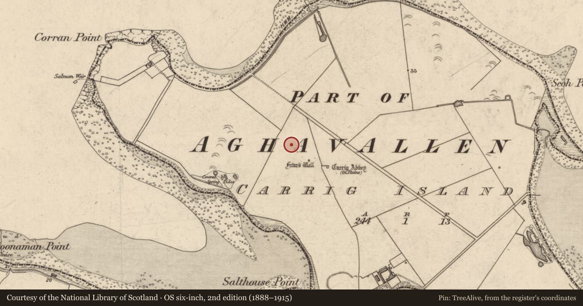 Ordnance Survey six-inch map, 2nd edition (1888–1915) covering the location of Field system, Carrig Island, County Kerry, with a pin at the register's coordinates