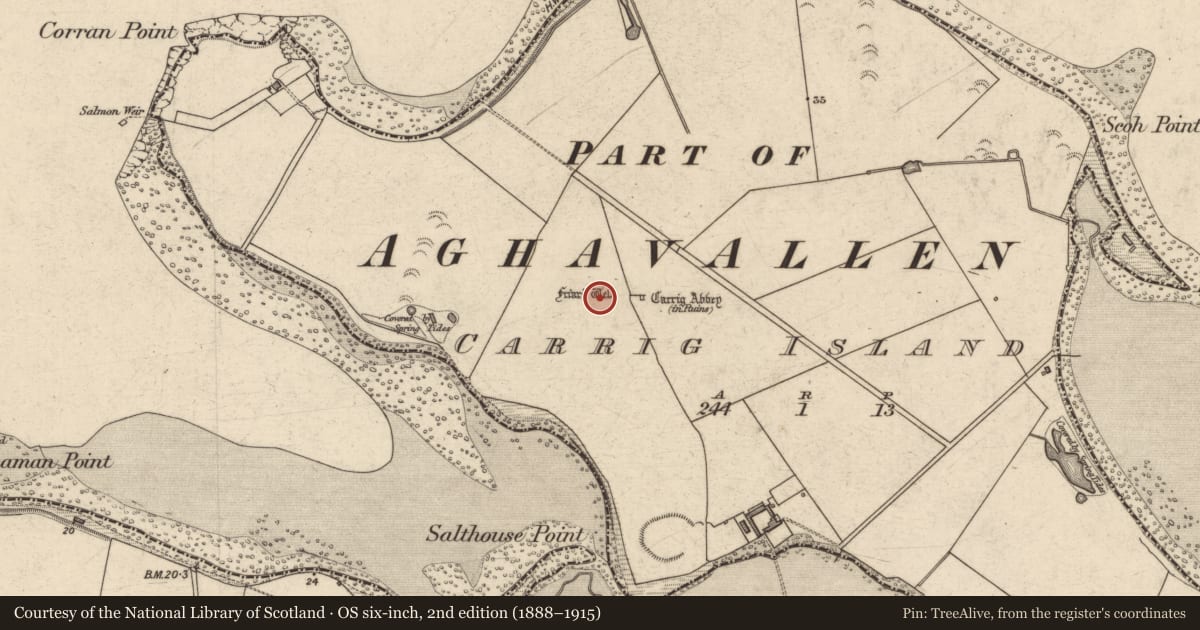 Ordnance Survey six-inch map, 2nd edition (1888–1915) covering the location of Enclosure, Carrig Island, County Kerry, with a pin at the register's coordinates