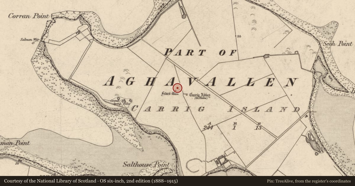 Ordnance Survey six-inch map, 2nd edition (1888–1915) covering the location of Earthwork, Carrig Island, County Kerry, with a pin at the register's coordinates