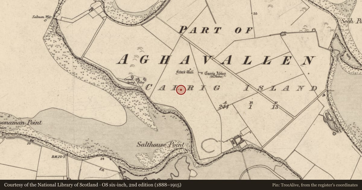 Ordnance Survey six-inch map, 2nd edition (1888–1915) covering the location of Earthwork, Carrig Island, County Kerry, with a pin at the register's coordinates