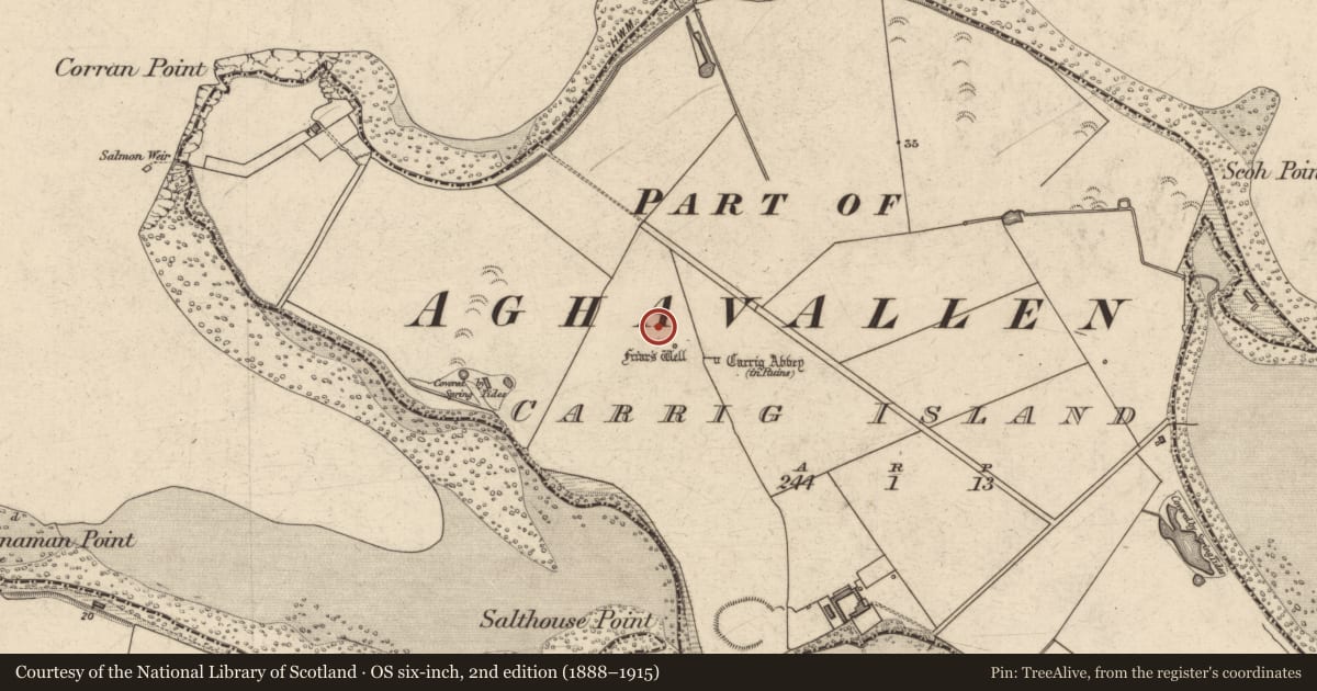 Ordnance Survey six-inch map, 2nd edition (1888–1915) covering the location of Hut site, Carrig Island, County Kerry, with a pin at the register's coordinates