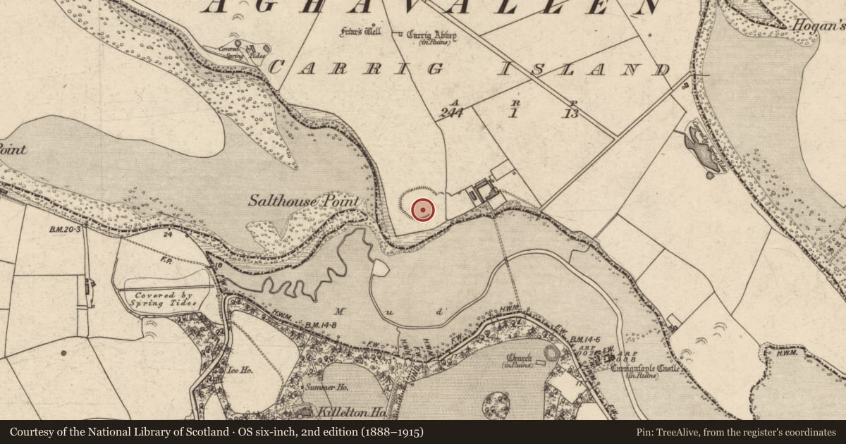 Ordnance Survey six-inch map, 2nd edition (1888–1915) covering the location of Ringfort - rath, Carrig Island, County Kerry, with a pin at the register's coordinates