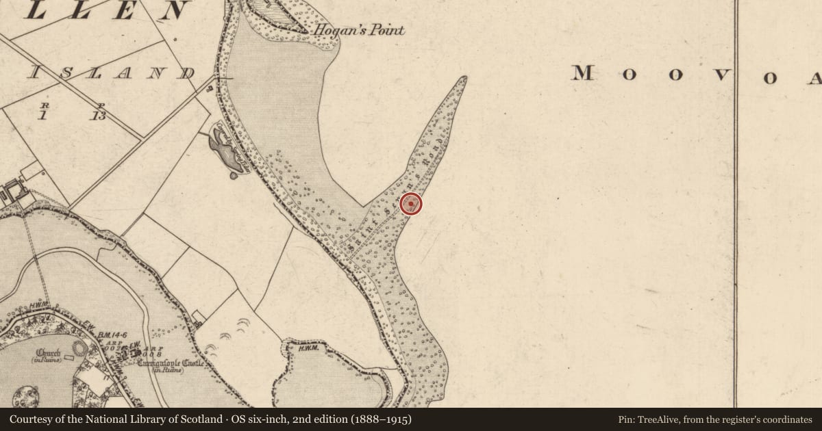 Ordnance Survey six-inch map, 2nd edition (1888–1915) covering the location of Road - road/trackway, Carrig Island, County Kerry, with a pin at the register's coordinates