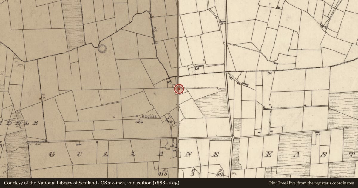 Ordnance Survey six-inch map, 2nd edition (1888–1915) covering the location of Ringfort - rath, Gullane East, County Kerry, with a pin at the register's coordinates