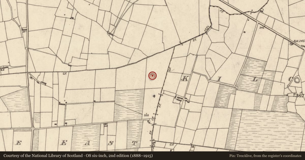 Ordnance Survey six-inch map, 2nd edition (1888–1915) covering the location of Ringfort - rath, Gullane East, County Kerry, with a pin at the register's coordinates