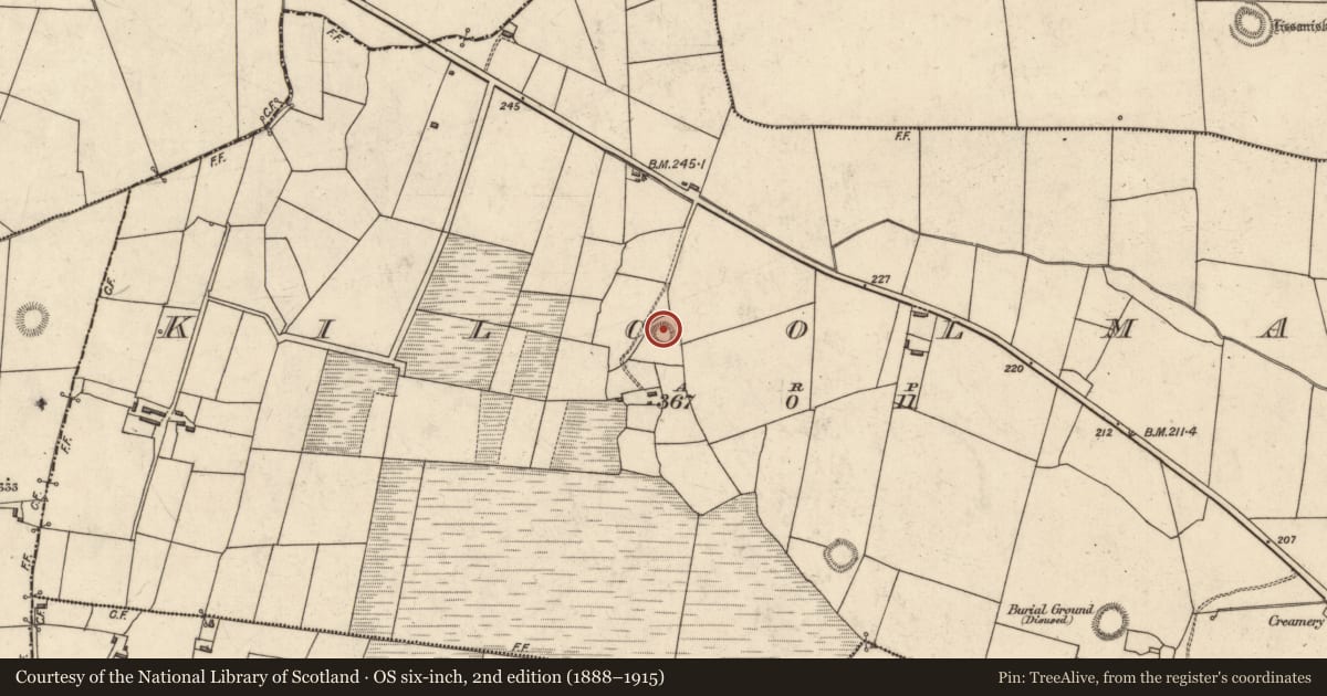 Ordnance Survey six-inch map, 2nd edition (1888–1915) covering the location of Ringfort - rath, Kilcolman, County Kerry, with a pin at the register's coordinates