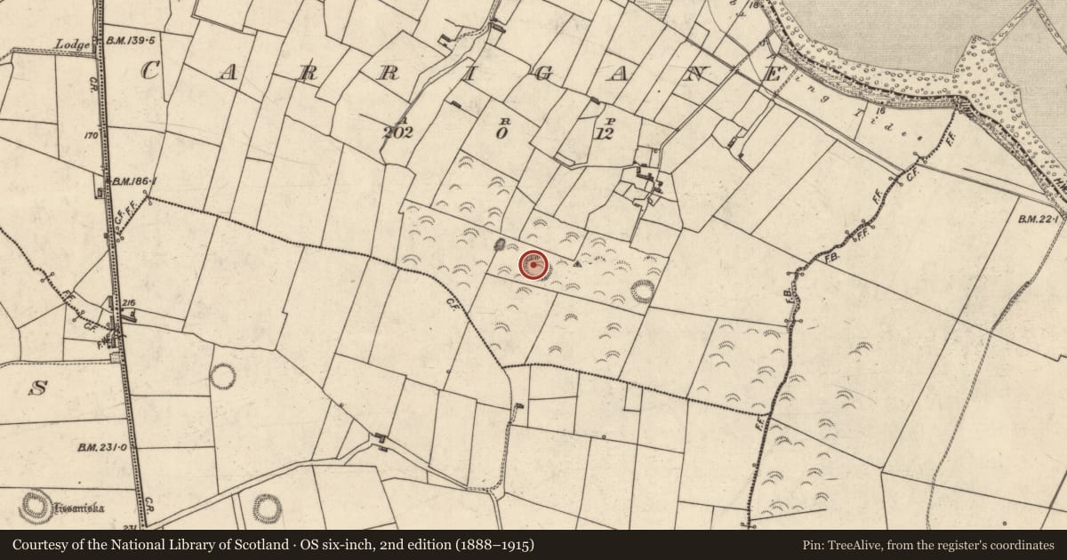 Ordnance Survey six-inch map, 2nd edition (1888–1915) covering the location of Children's burial ground, Carrigane, County Kerry, with a pin at the register's coordinates