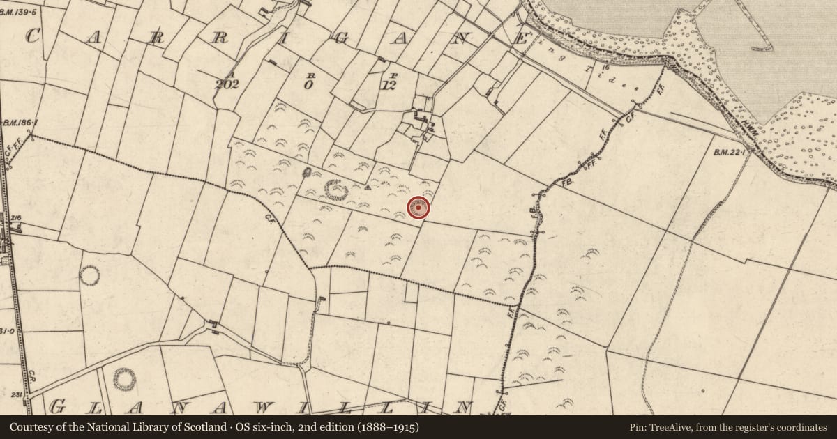 Ordnance Survey six-inch map, 2nd edition (1888–1915) covering the location of Ringfort - rath, Carrigane, County Kerry, with a pin at the register's coordinates