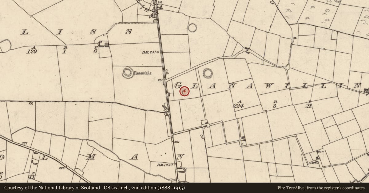 Ordnance Survey six-inch map, 2nd edition (1888–1915) covering the location of Ringfort - rath, Glanawillin, County Kerry, with a pin at the register's coordinates