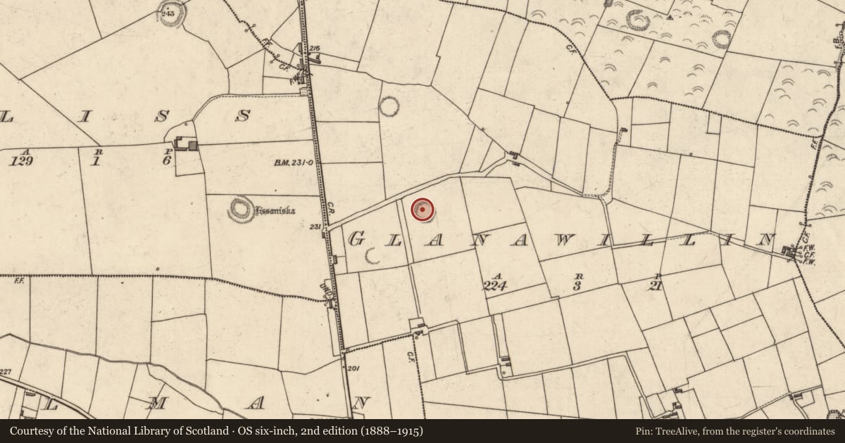 Ordnance Survey six-inch map, 2nd edition (1888–1915) covering the location of Children's burial ground, Glanawillin, County Kerry, with a pin at the register's coordinates