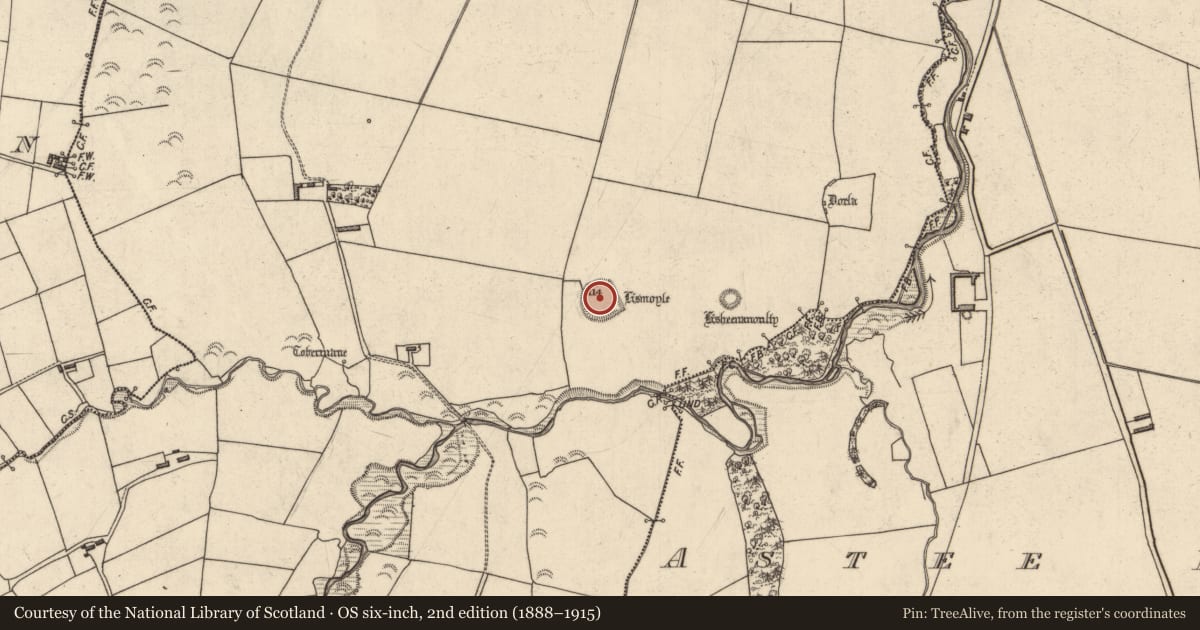 Ordnance Survey six-inch map, 2nd edition (1888–1915) covering the location of Ringfort - rath, Astee West, County Kerry, with a pin at the register's coordinates