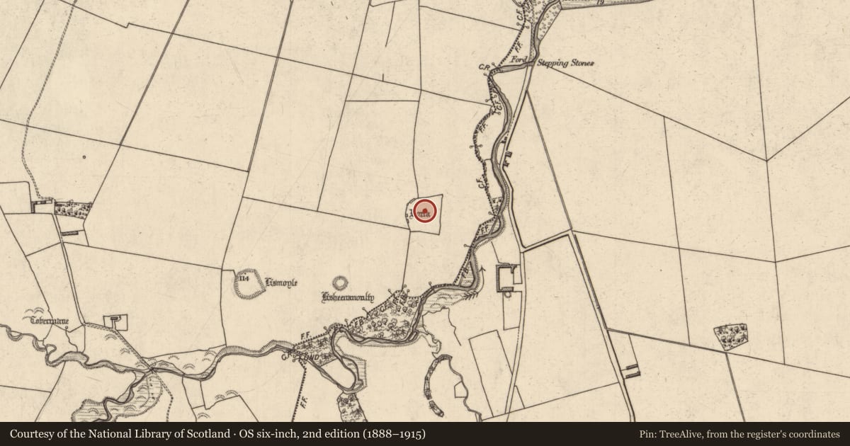 Ordnance Survey six-inch map, 2nd edition (1888–1915) covering the location of Children's burial ground, Astee West, County Kerry, with a pin at the register's coordinates