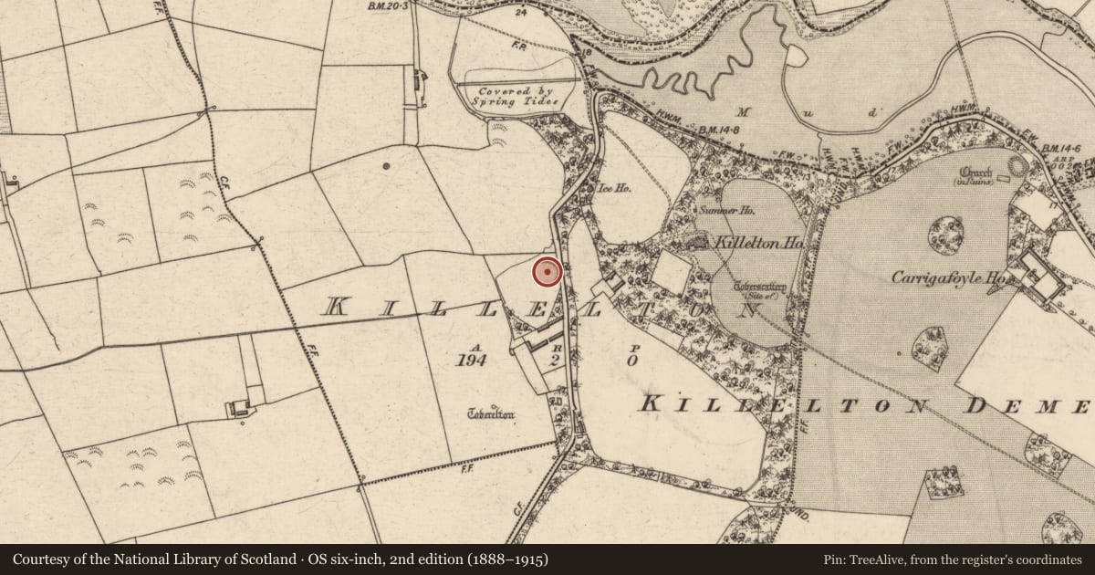 Ordnance Survey six-inch map, 2nd edition (1888–1915) covering the location of Ringfort - rath, Killelton, County Kerry, with a pin at the register's coordinates