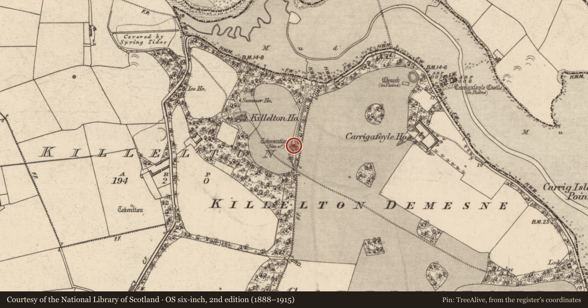 Ordnance Survey six-inch map, 2nd edition (1888–1915) covering the location of Ritual site - holy well, Killelton, County Kerry, with a pin at the register's coordinates