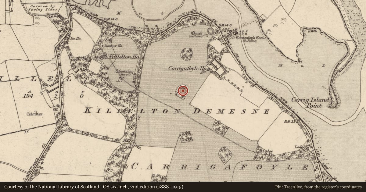 Ordnance Survey six-inch map, 2nd edition (1888–1915) covering the location of Enclosure, Carrigafoyle, County Kerry, with a pin at the register's coordinates