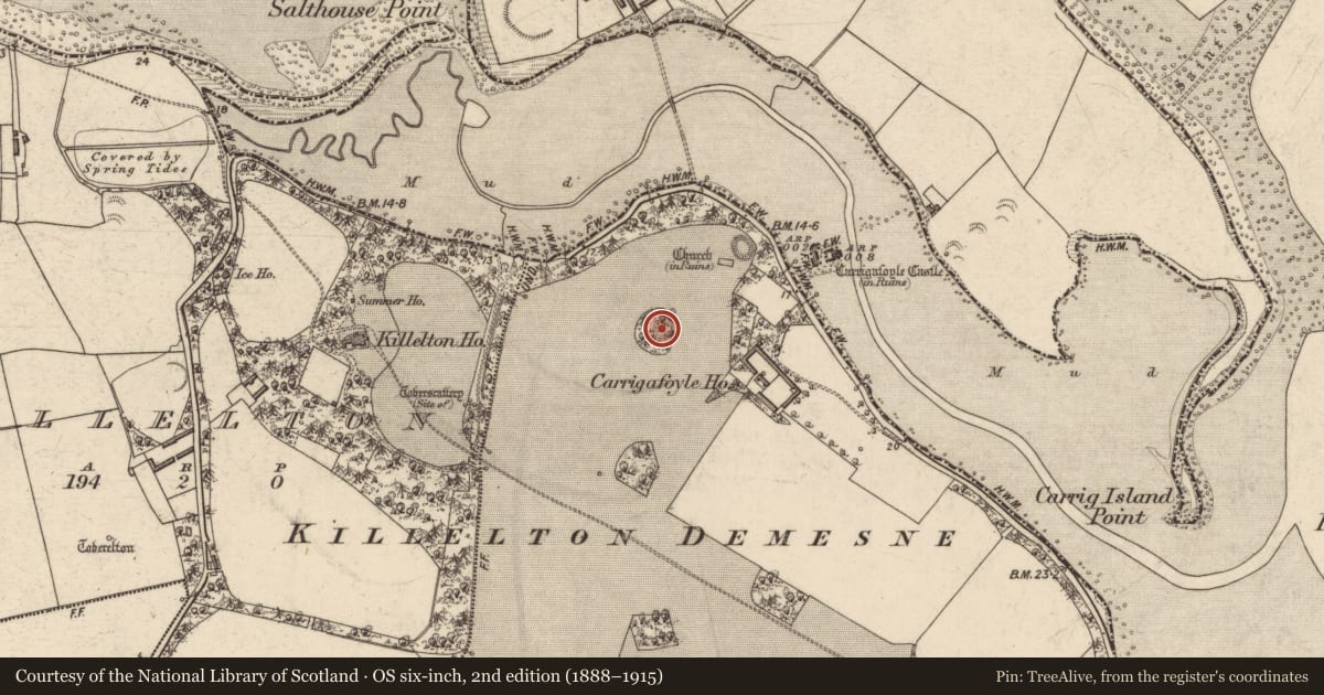 Ordnance Survey six-inch map, 2nd edition (1888–1915) covering the location of Children's burial ground, Carrigafoyle, County Kerry, with a pin at the register's coordinates