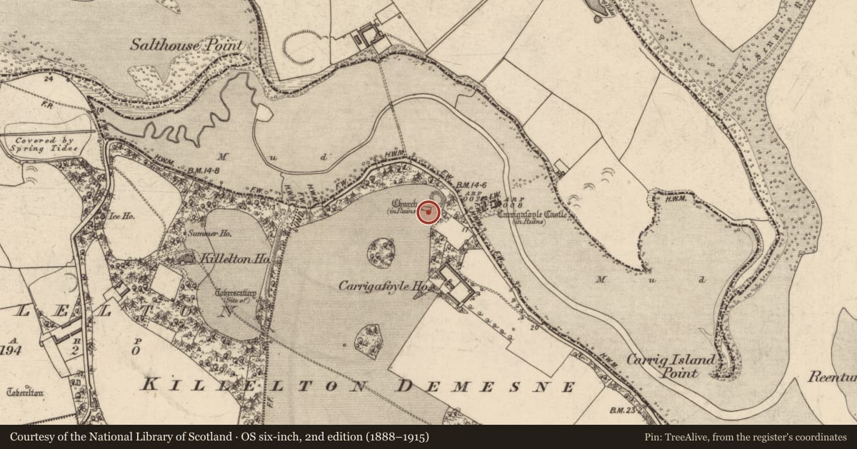 Ordnance Survey six-inch map, 2nd edition (1888–1915) covering the location of Church, Carrigafoyle, County Kerry, with a pin at the register's coordinates