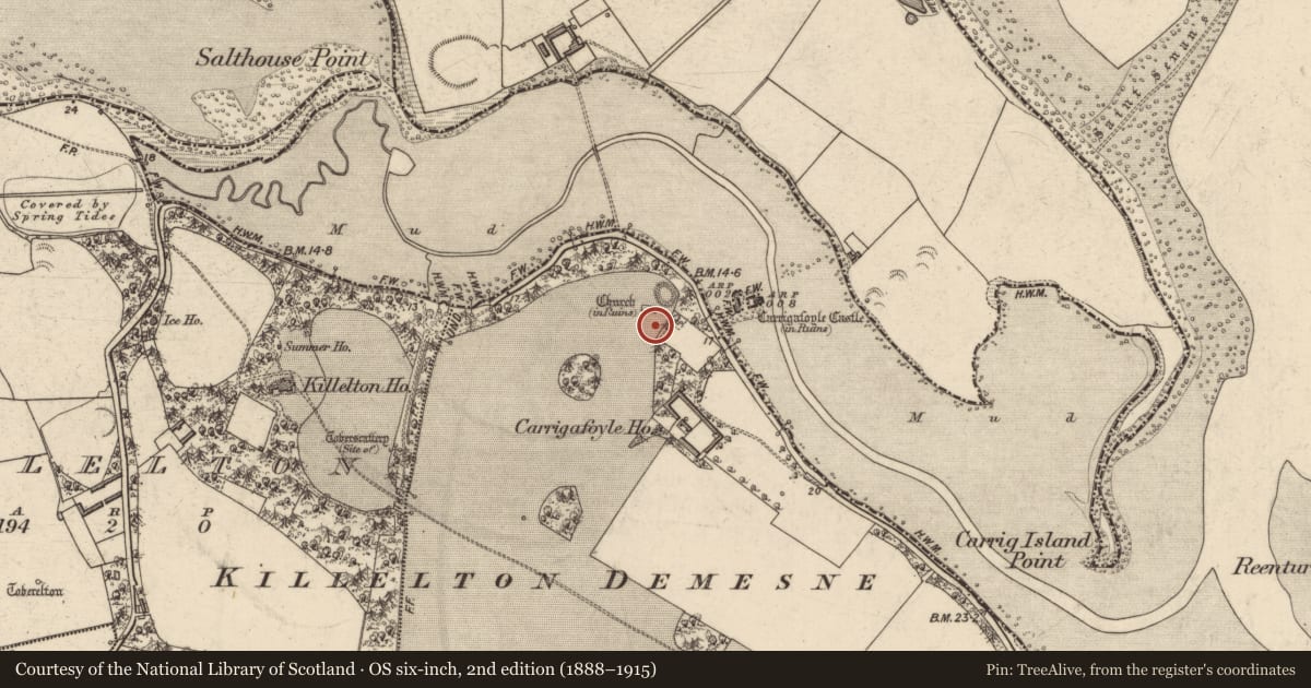Ordnance Survey six-inch map, 2nd edition (1888–1915) covering the location of Enclosure, Carrigafoyle, County Kerry, with a pin at the register's coordinates