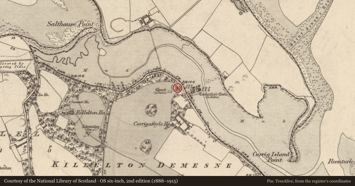 Ordnance Survey six-inch map, 2nd edition (1888–1915) covering the location of Enclosure, Carrigafoyle, County Kerry, with a pin at the register's coordinates