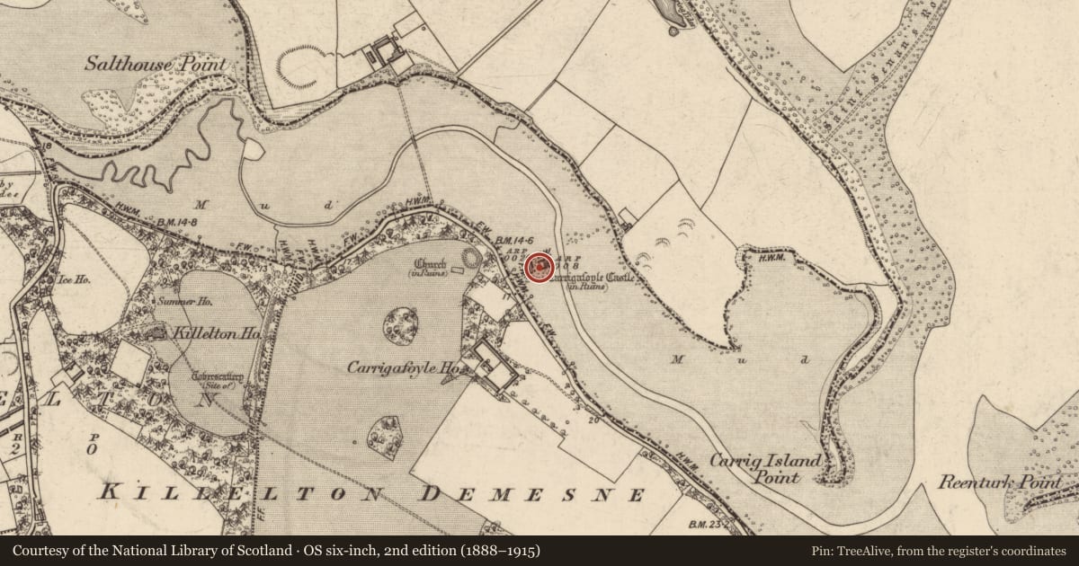 Ordnance Survey six-inch map, 2nd edition (1888–1915) covering the location of Bawn, Carrigafoyle, County Kerry, with a pin at the register's coordinates