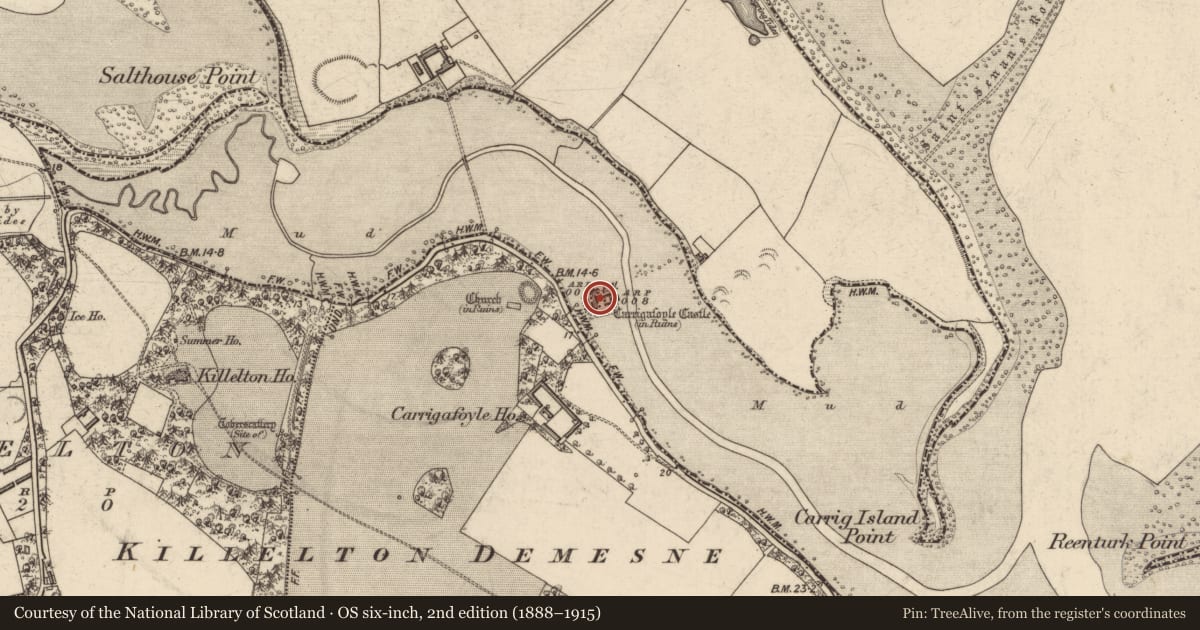 Ordnance Survey six-inch map, 2nd edition (1888–1915) covering the location of Dovecote, Carrigafoyle, County Kerry, with a pin at the register's coordinates