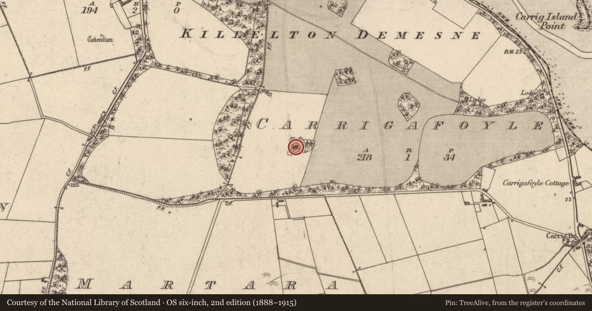 Ordnance Survey six-inch map, 2nd edition (1888–1915) covering the location of Ringfort - rath, Carrigafoyle, County Kerry, with a pin at the register's coordinates